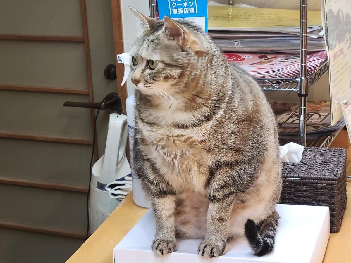 Akasawa Onsen Ryokan Nasushiobara Zewnętrze zdjęcie