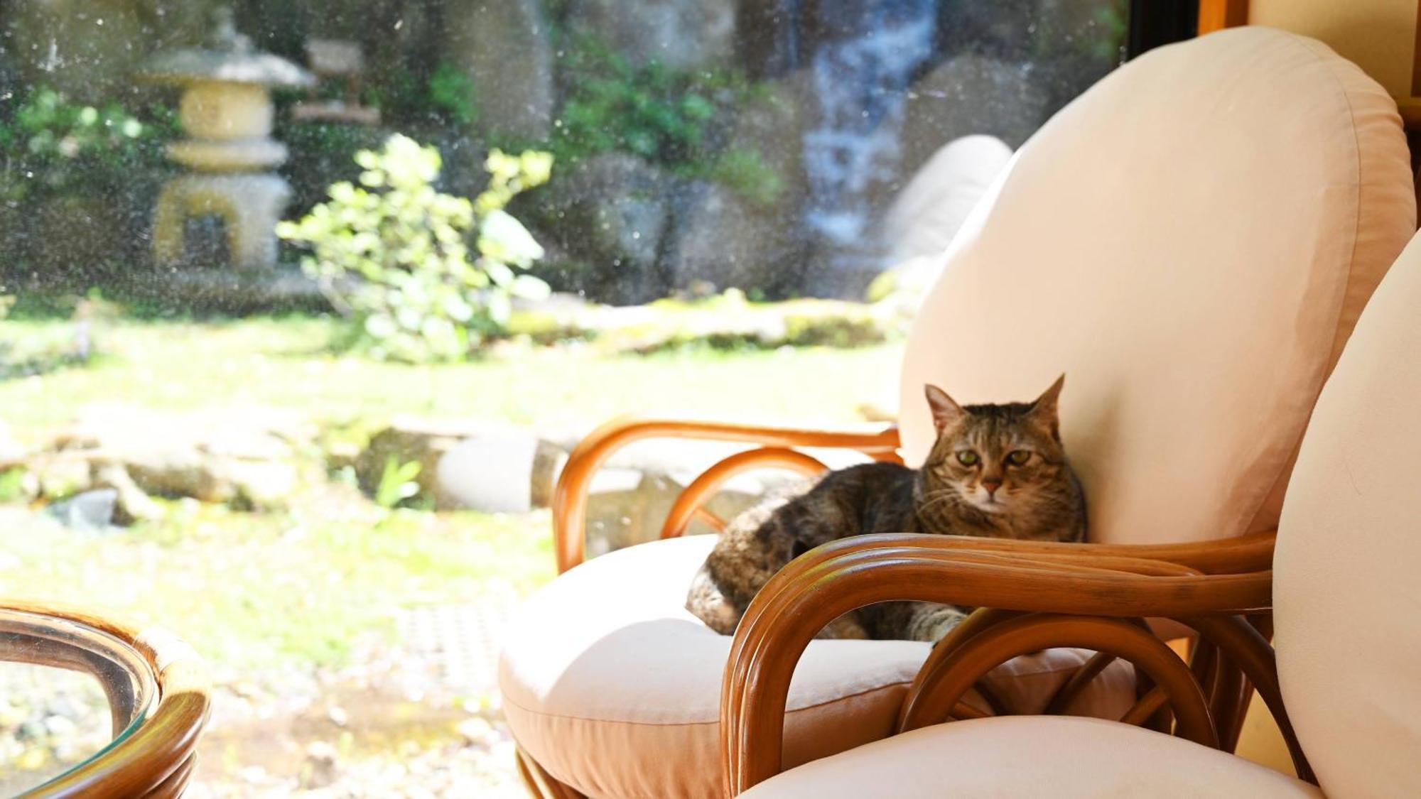 Akasawa Onsen Ryokan Nasushiobara Zewnętrze zdjęcie